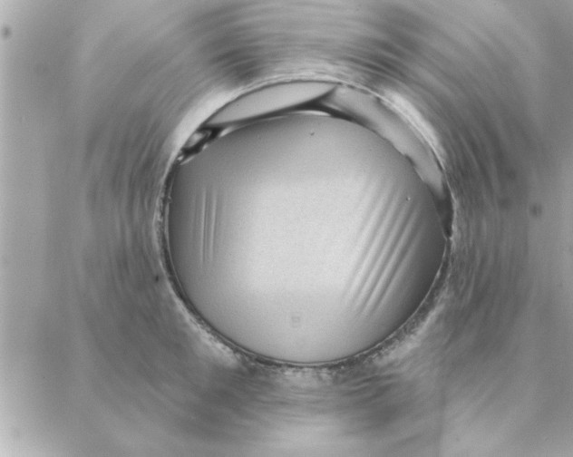 X0000088160901200706051048