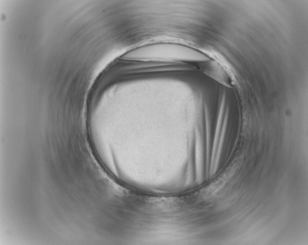 X0000088160902200706051048