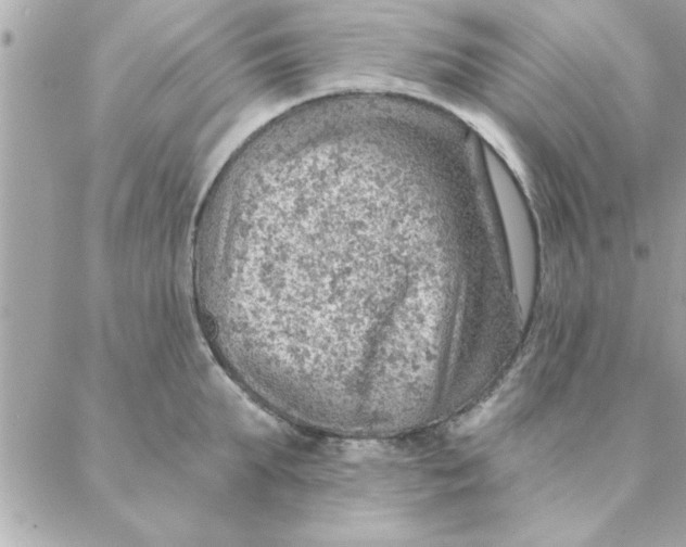 X0000088160903200706051048