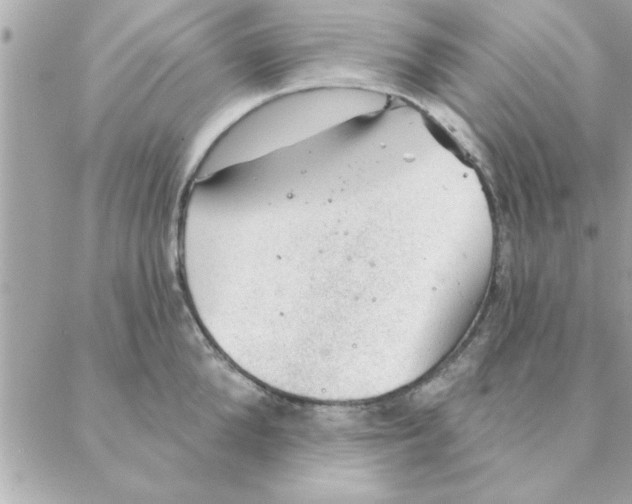 X0000088160904200706051048