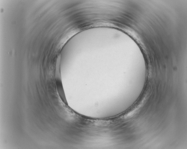 X0000088160905200706051048