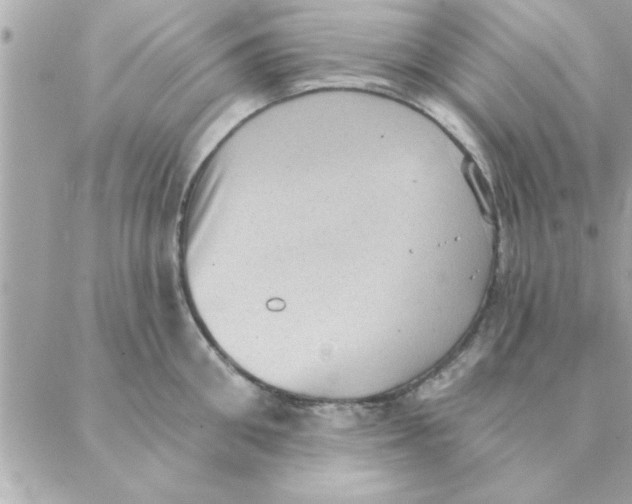 X0000088160906200706051048