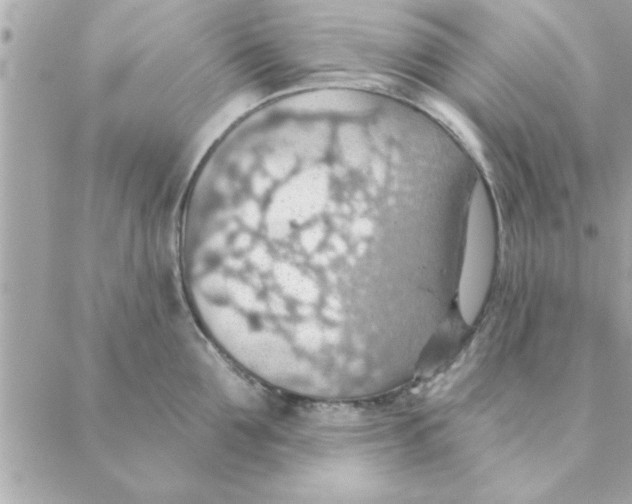 X0000088160907200706051048