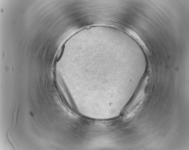 X0000088160908200706051048