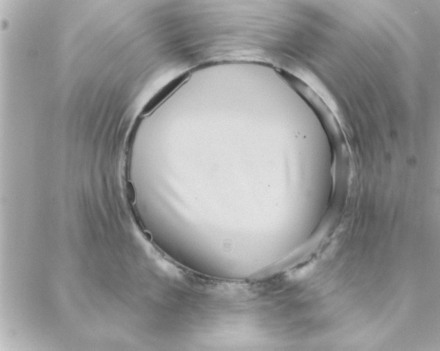 X0000088160909200706051048