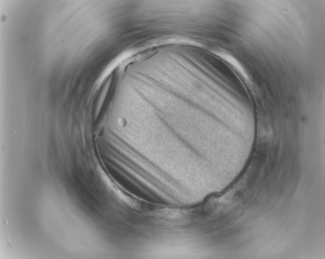 X0000088160910200706051048