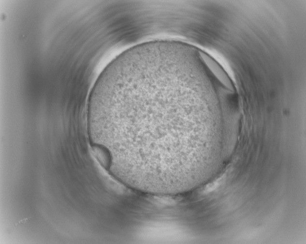 X0000088160911200706051048