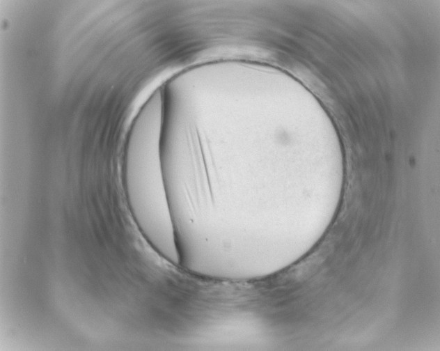 X0000088160912200706051048