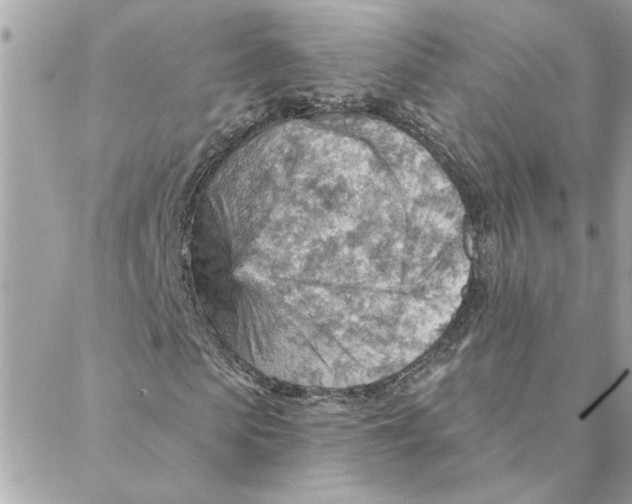 X0000088160913200706051047