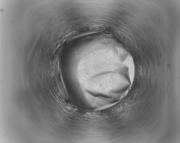 X0000088160914200706051047