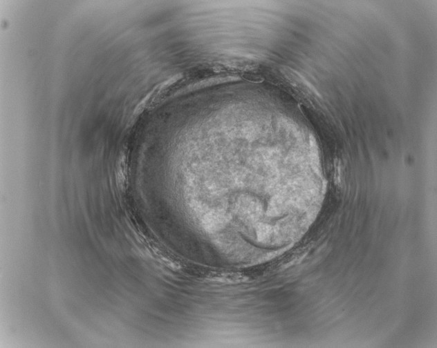 X0000088160915200706051047