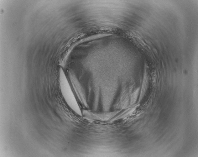 X0000088160916200706051047