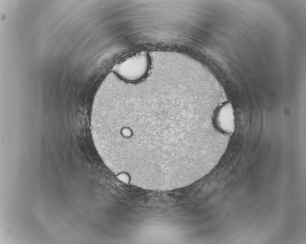 X0000088160918200706051047