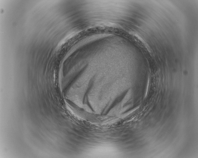 X0000088160919200706051047