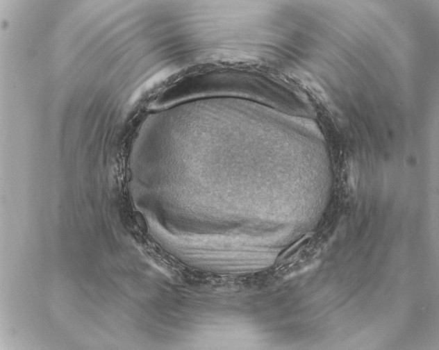 X0000088160920200706051047