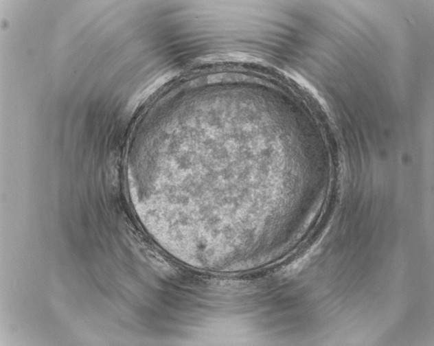 X0000088160921200706051047