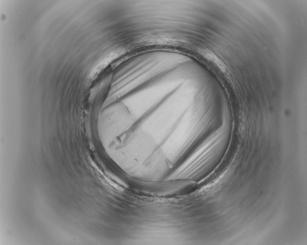 X0000088160922200706051047