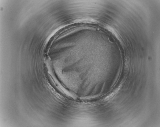 X0000088160923200706051047