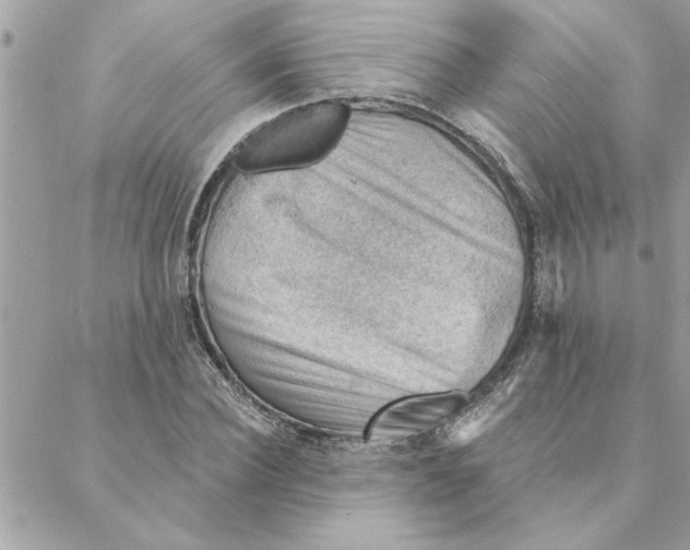 X0000088160924200706051047