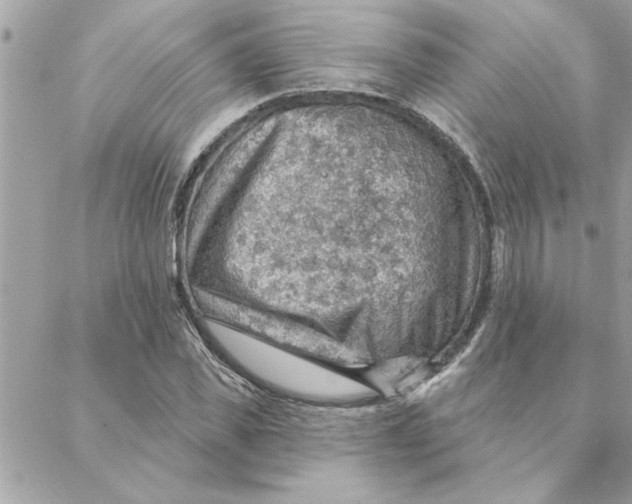 X0000088160925200706051047