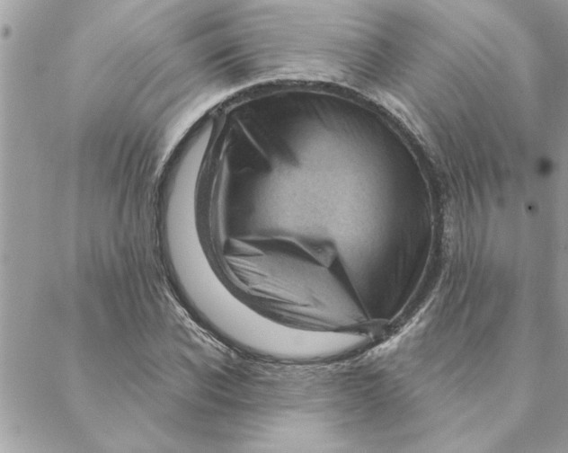 X0000088160926200706051047