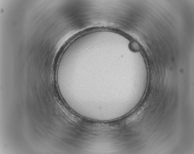 X0000088160927200706051047