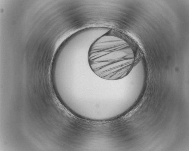 X0000088160928200706051047