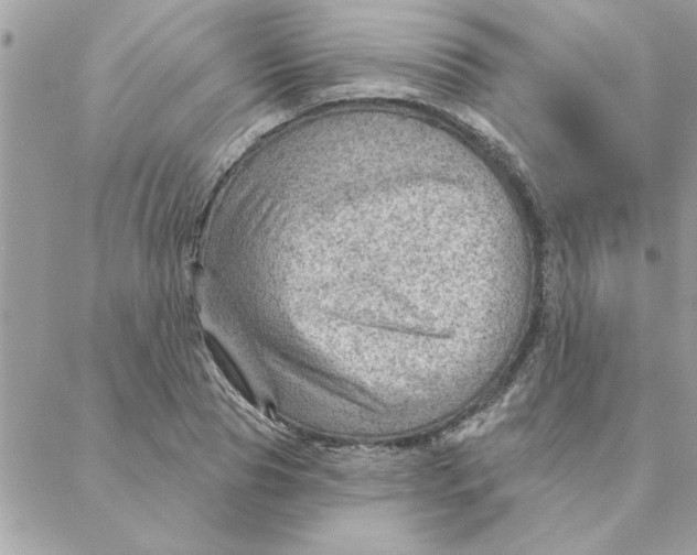 X0000088160929200706051047