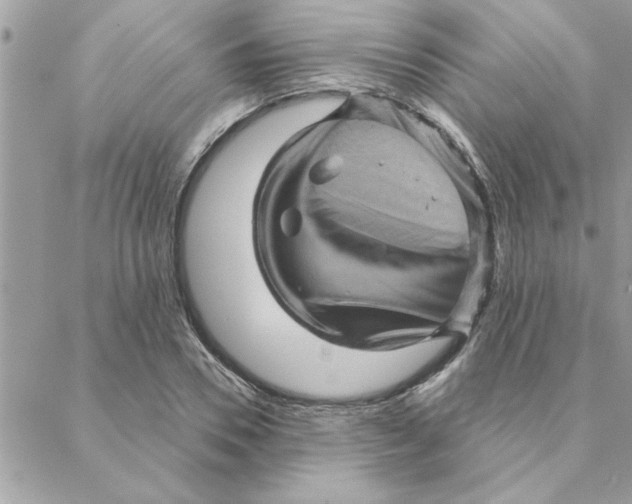 X0000088160930200706051048