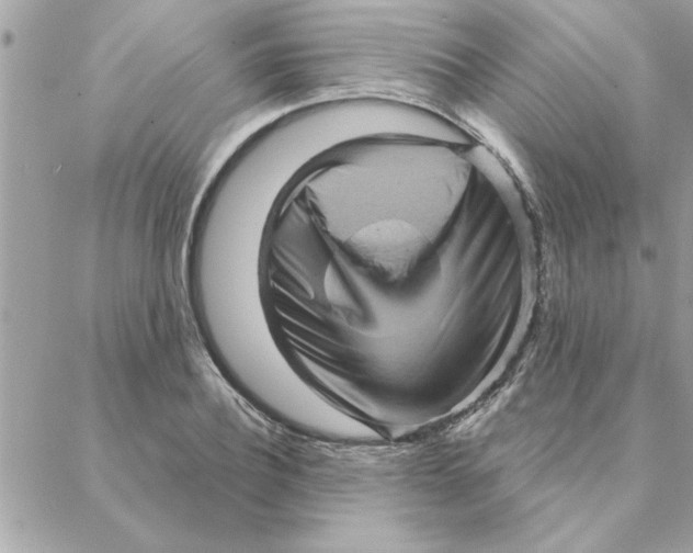 X0000088160932200706051048