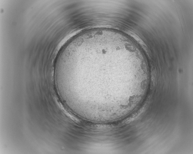 X0000088160933200706051048