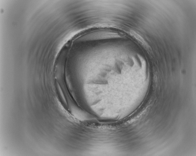 X0000088160934200706051048