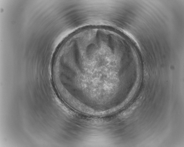 X0000088160935200706051048