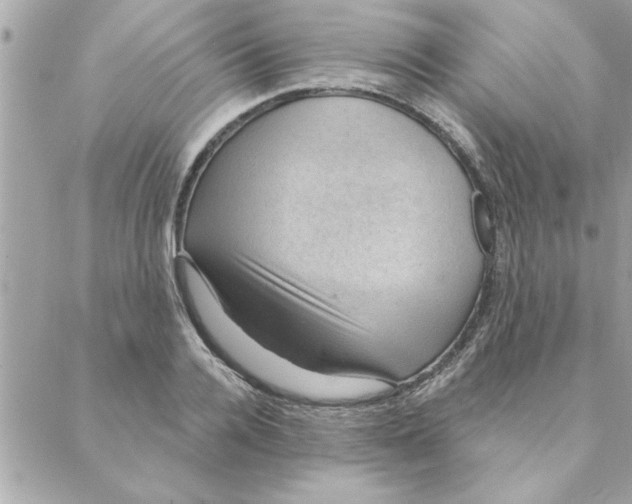 X0000088160936200706051048