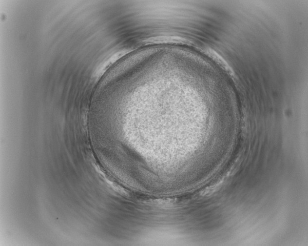 X0000088160937200706051048