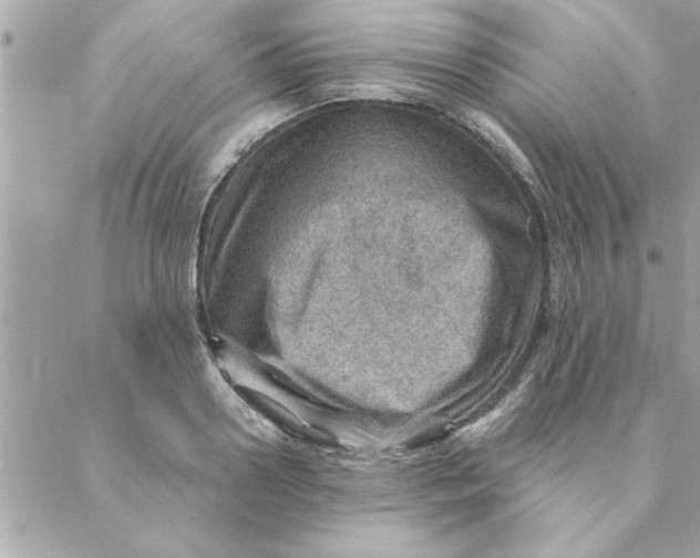 X0000088160938200706051048