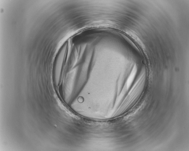 X0000088160941200706051048