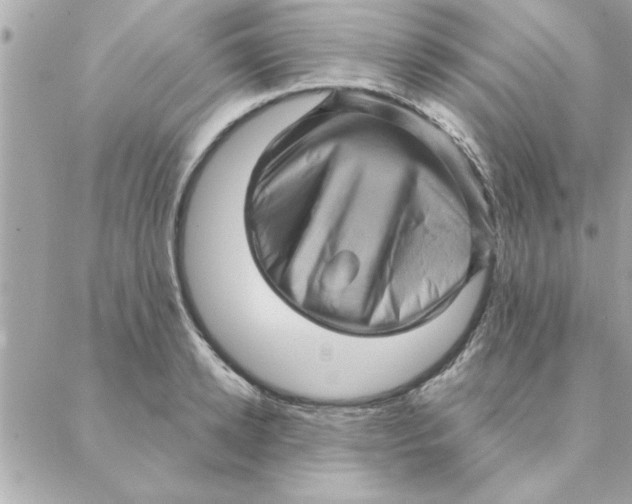 X0000088160942200706051048