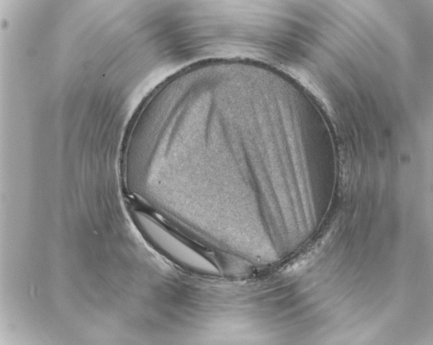 X0000088160943200706051048