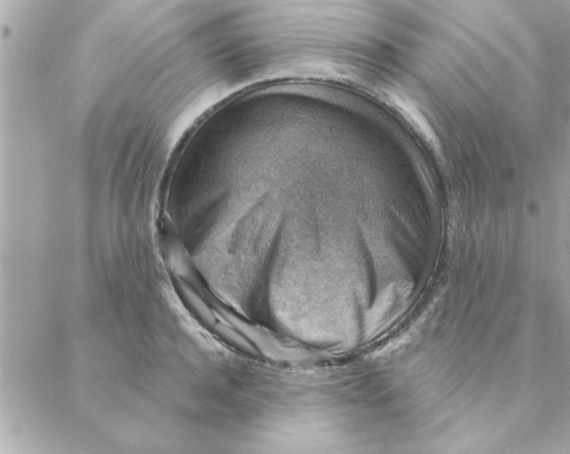 X0000088160944200706051048