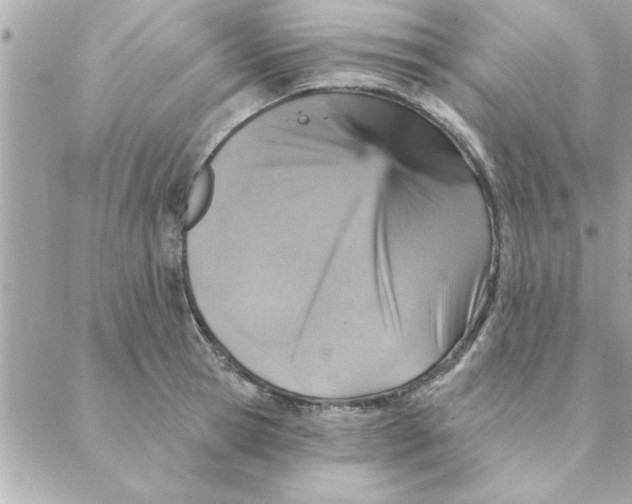 X0000088160945200706051048