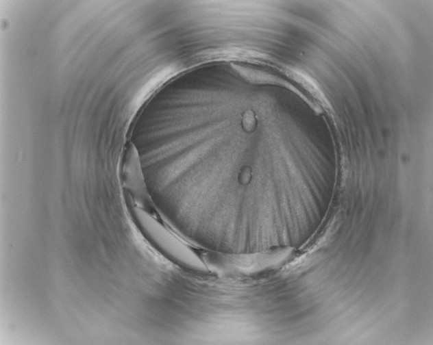 X0000088160946200706051048