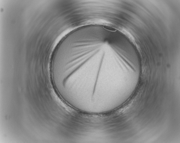 X0000088160947200706051048