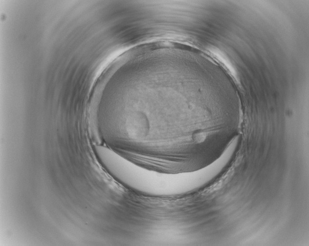 X0000088160948200706051048