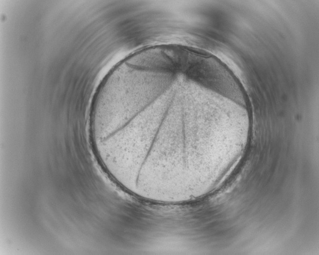 X0000088160949200706051048