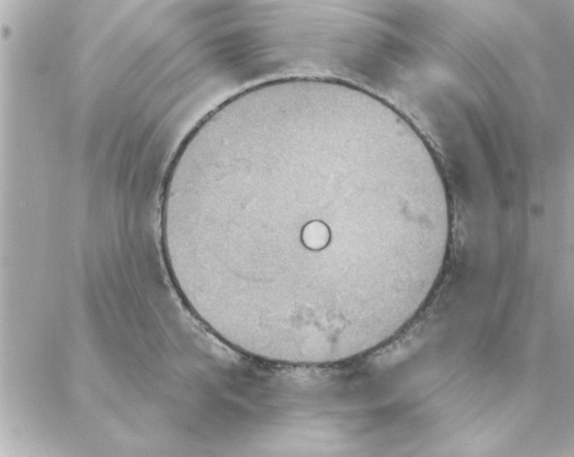 X0000088160950200706051048