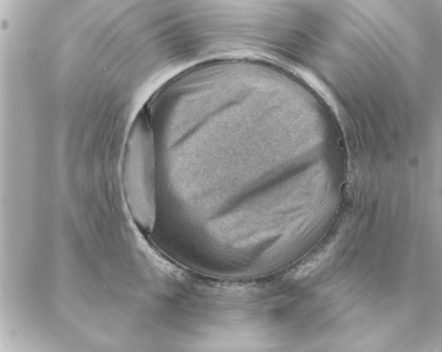 X0000088160951200706051048