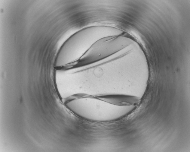 X0000088160952200706051048