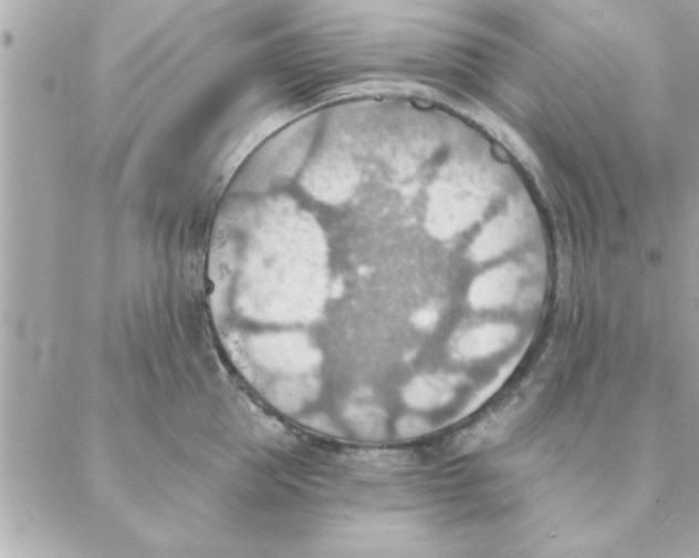 X0000088160953200706051048