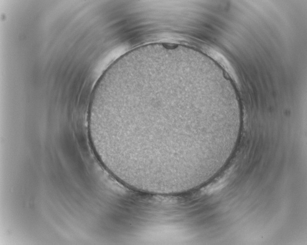 X0000088160954200706051048